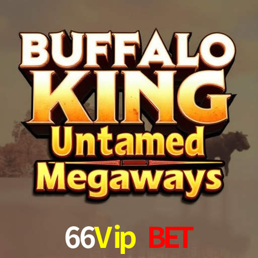 66Vip